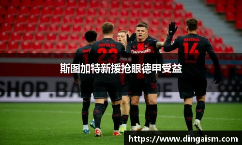 智博19