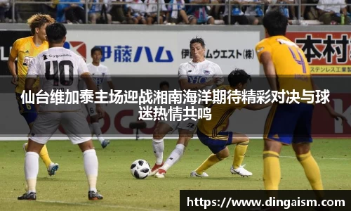 智博19有限公司